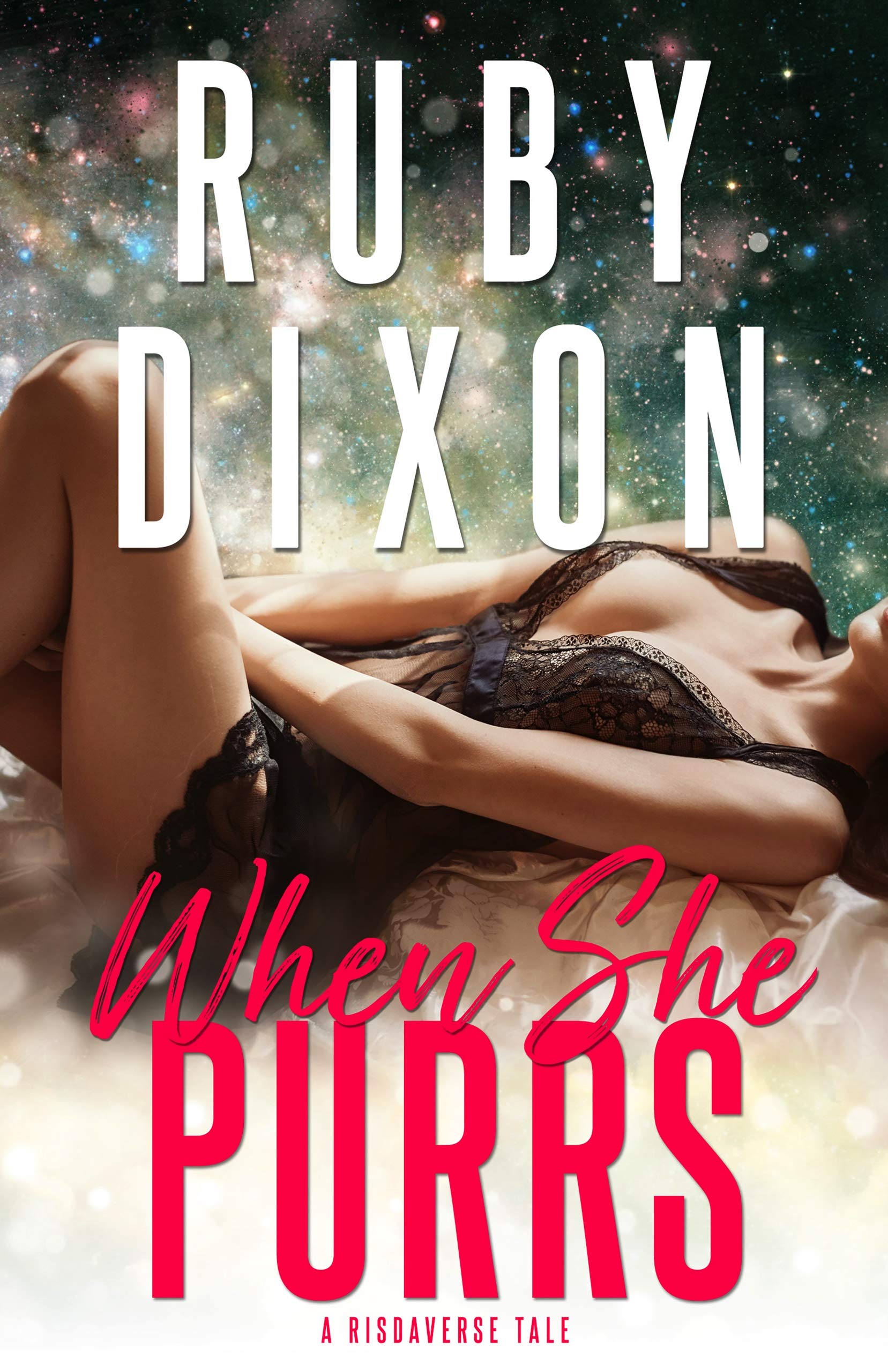Risdaverse book cover 3