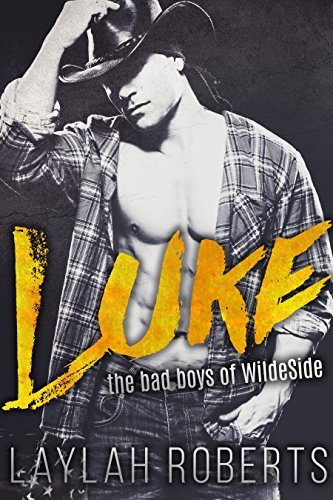 Bad Boys of Wildeside book cover 2