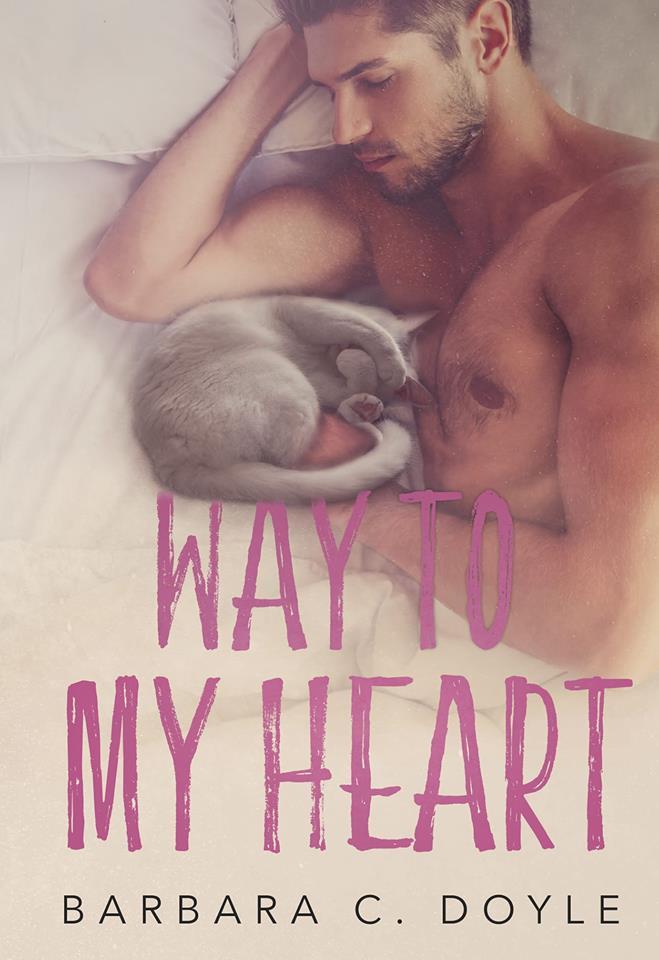 Way To My Heart book cover