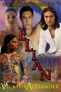 The Marriage Groups book cover 1