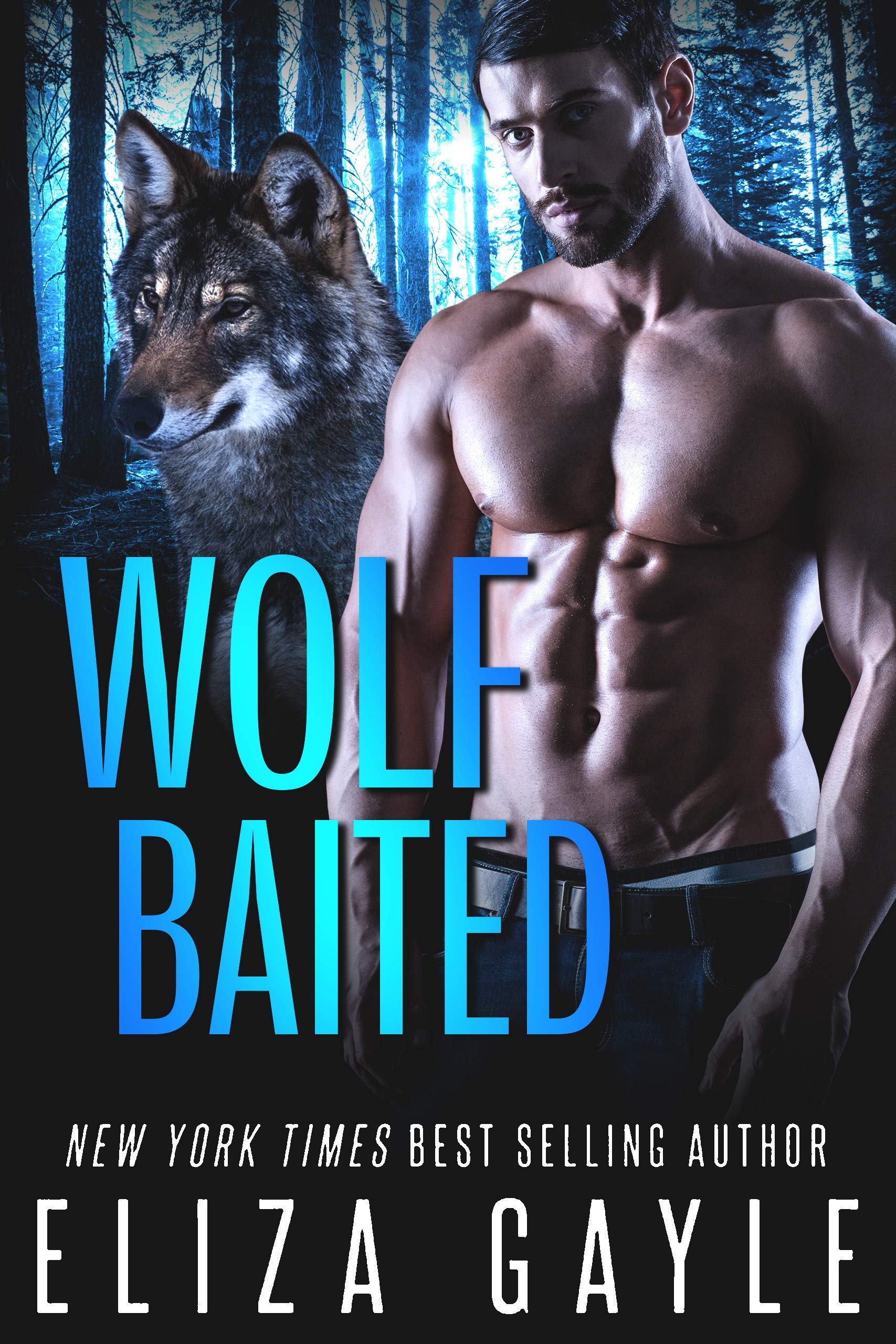 The Enigma Shifters book cover 2