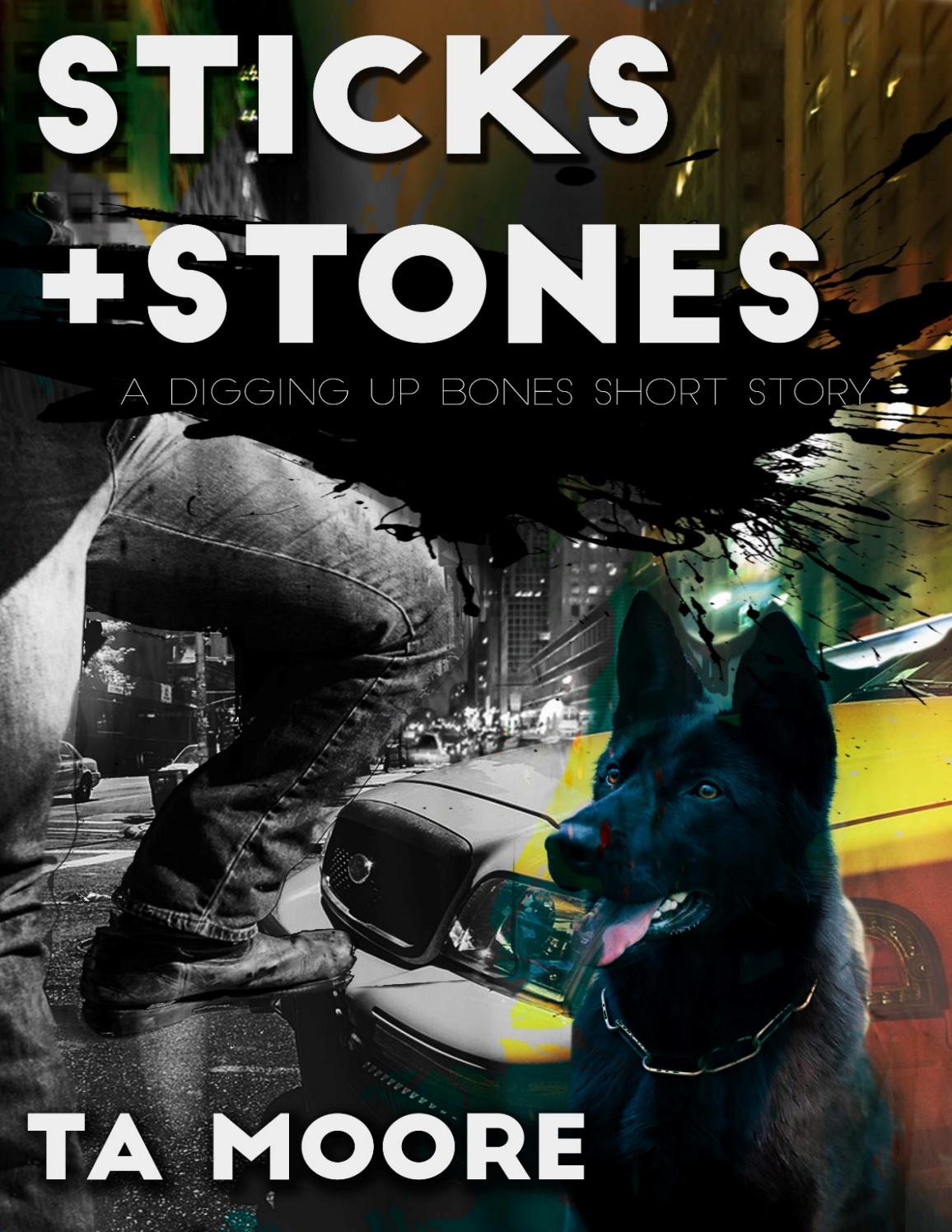 Sticks and Stones book cover