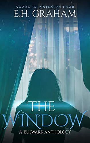 The Window book cover