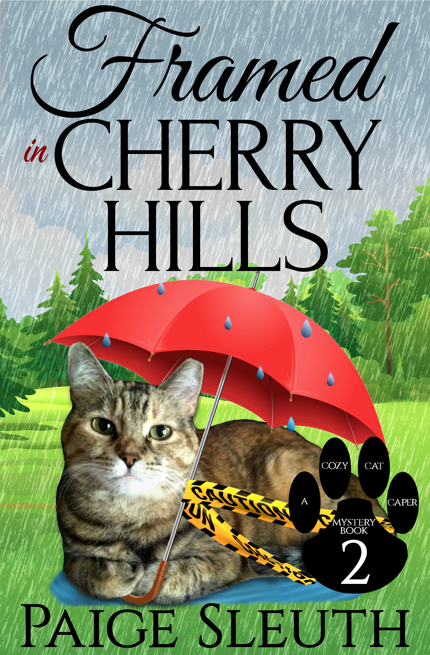 Framed in Cherry Hills book cover