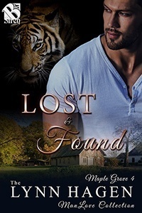 Lost & Found book cover