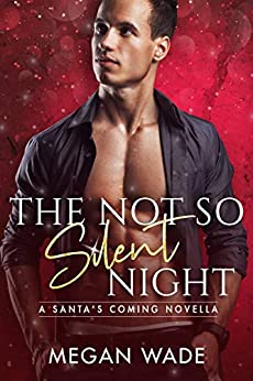 The Not So Silent Night book cover