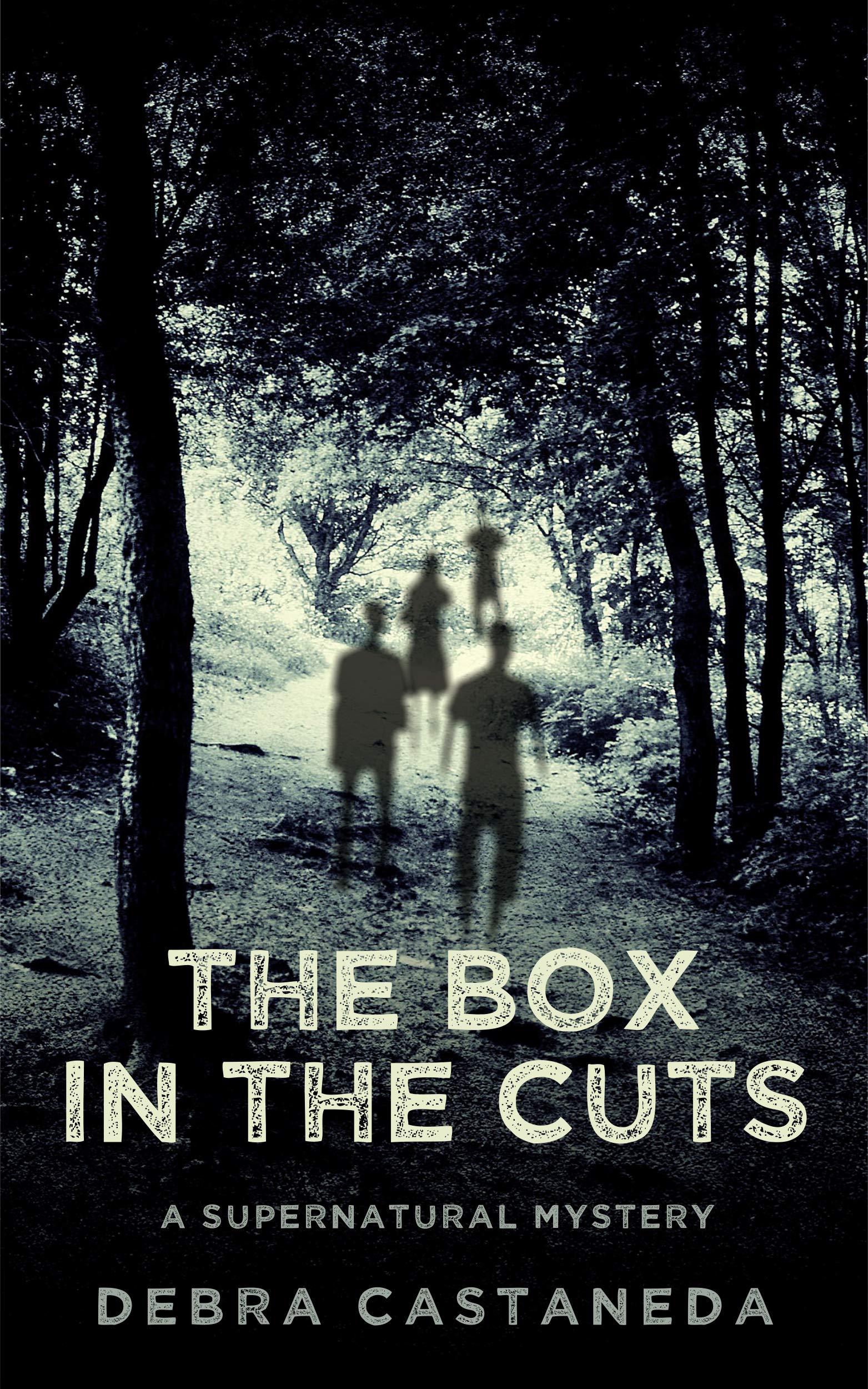 The Box in the Cuts book cover