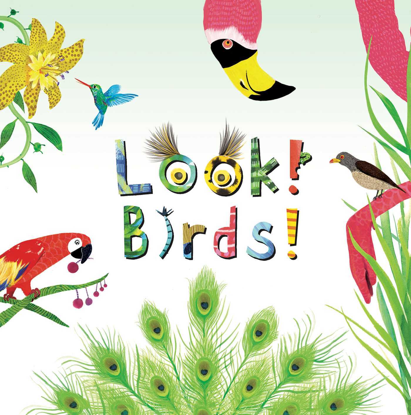 Look! Birds! book cover