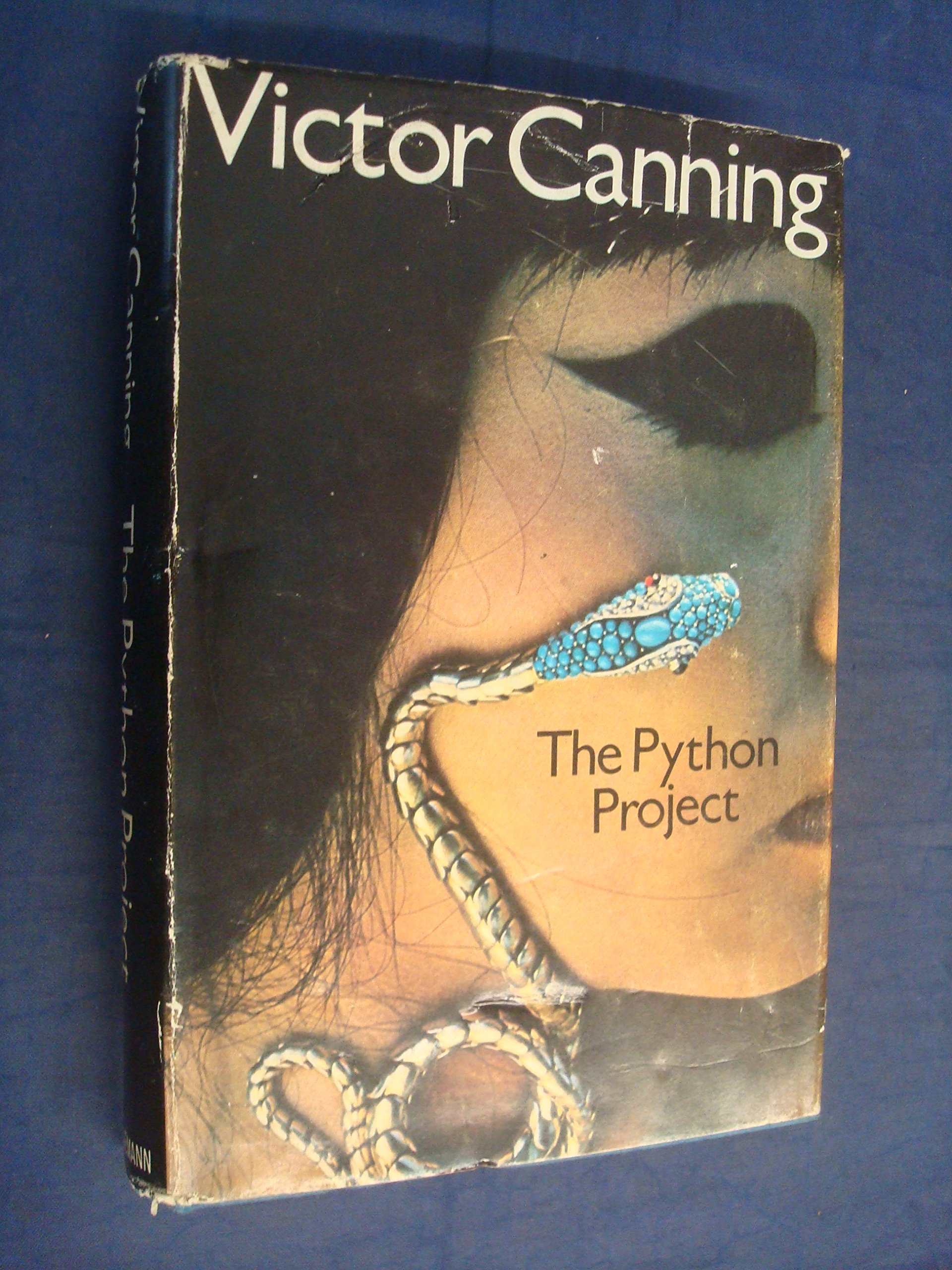 The python project book cover