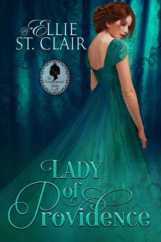Lady of Providence book cover