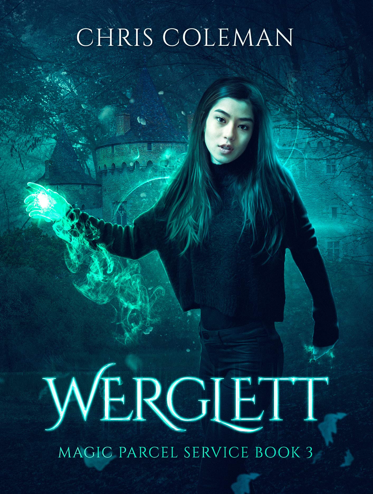 Magic Parcel Service book cover 3