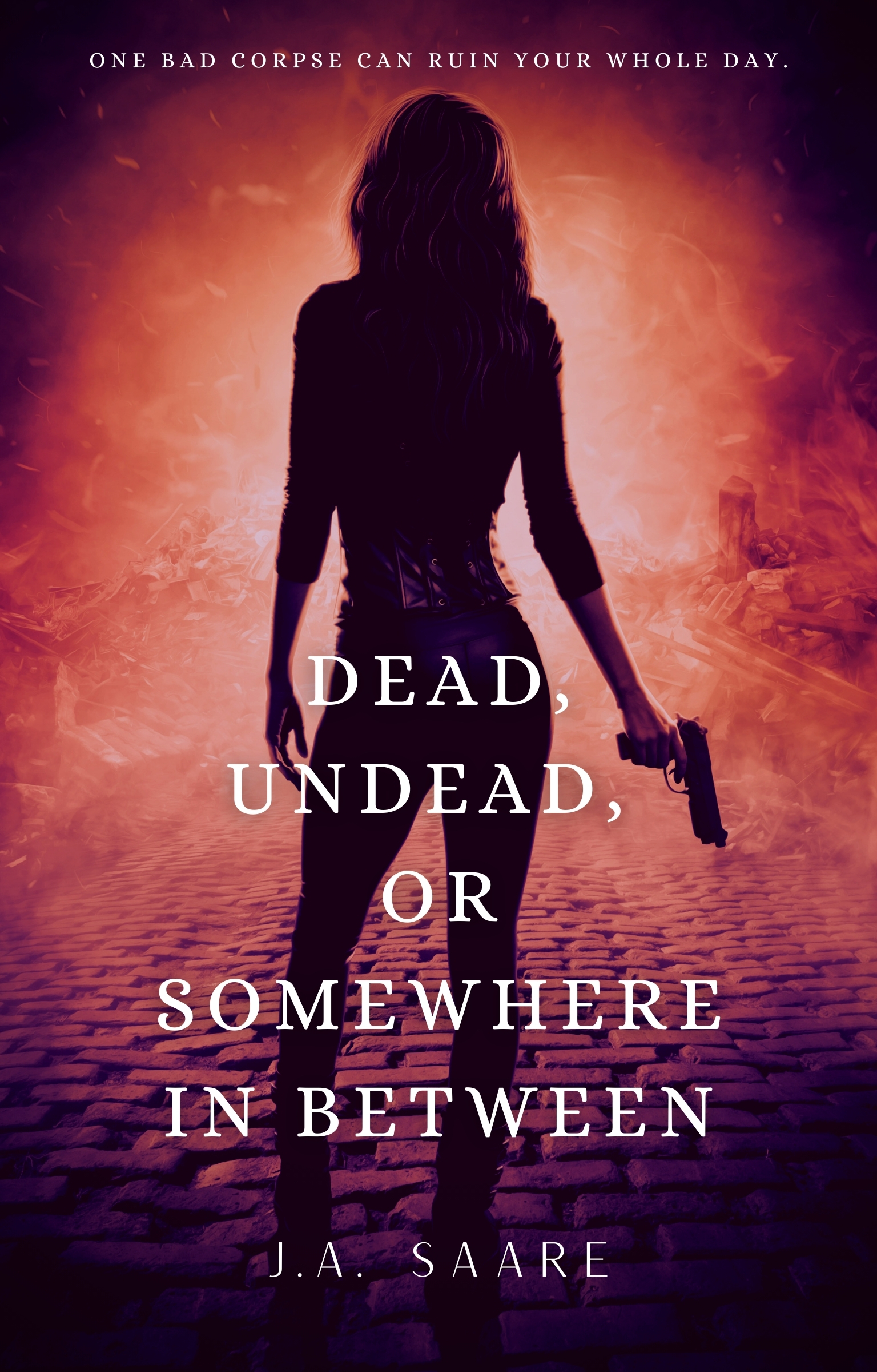 Rhiannon's Law book cover 1