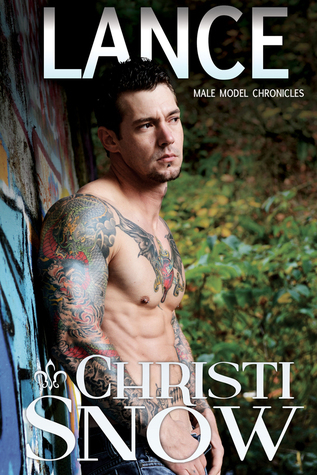 Male Model Chronicles book cover 2