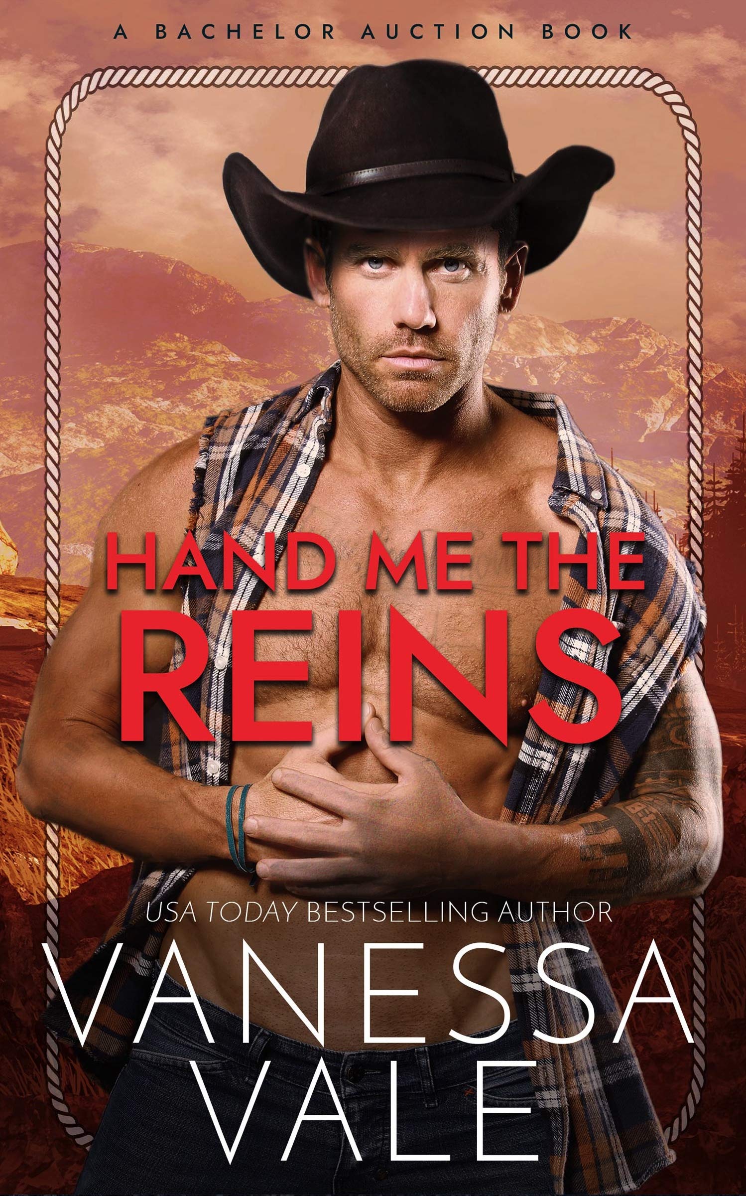 Bachelor Auction book cover 3