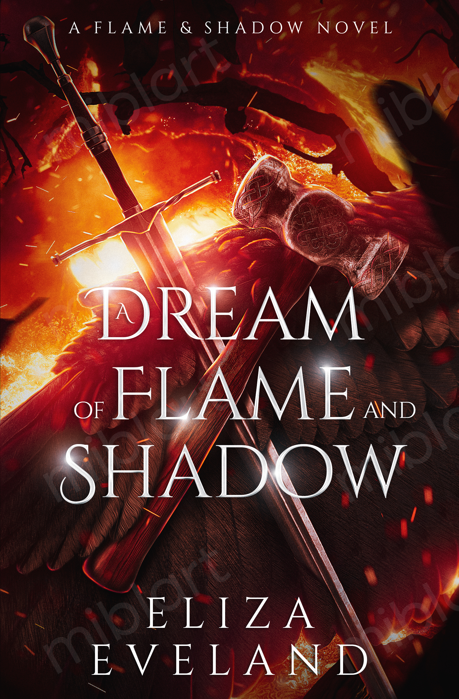 Flame & Shadow book cover 1