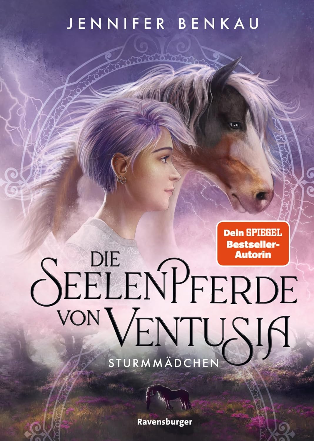 Sturmmädchen book cover