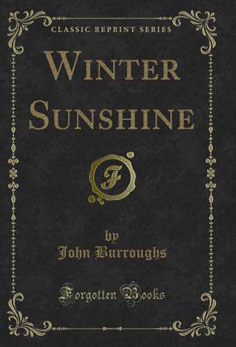 Winter Sunshine book cover
