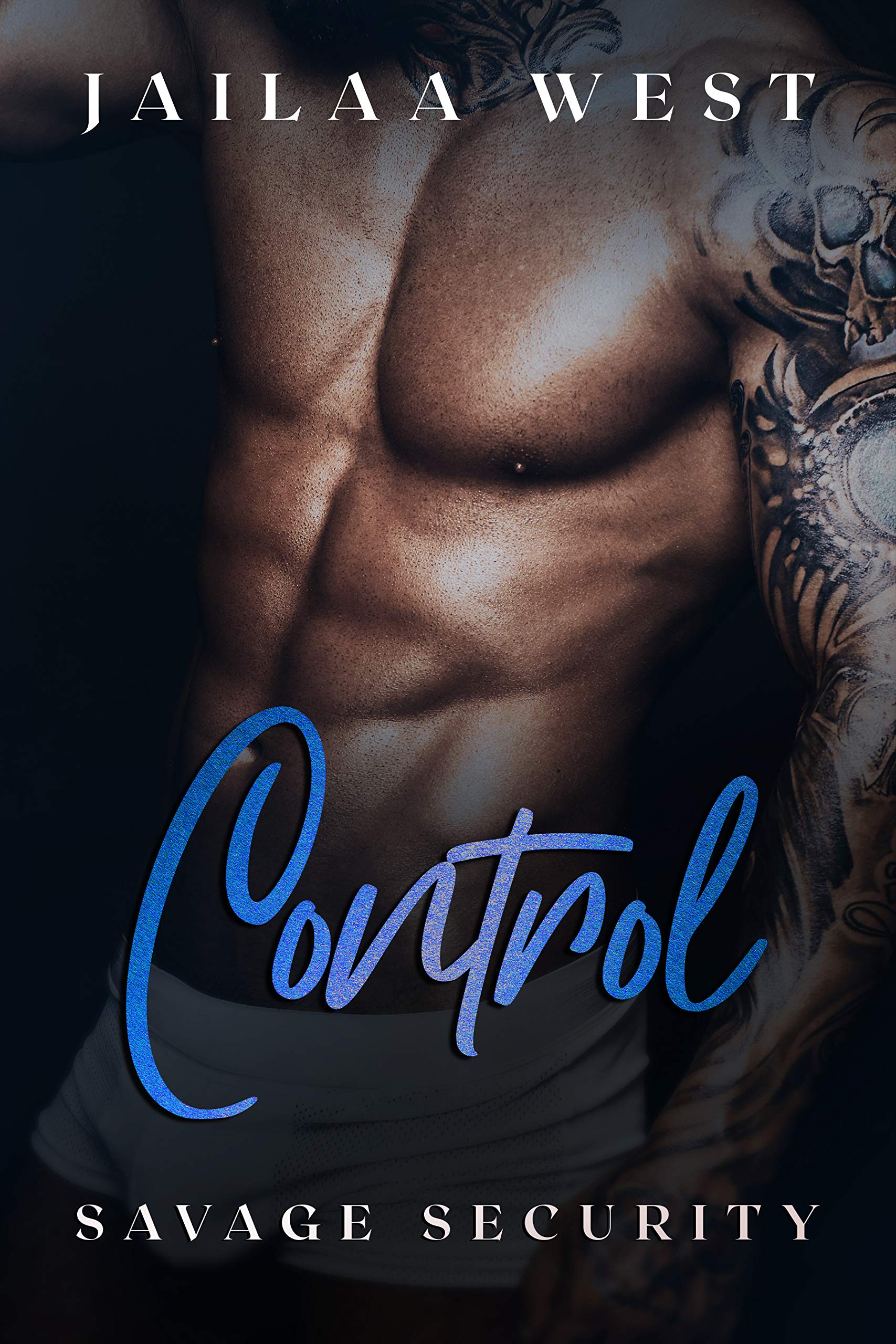 Savage Security book cover 2