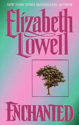 Medieval Series book cover 3