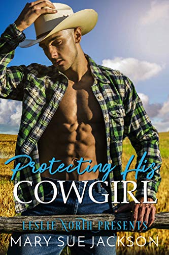 The Cowboy's Single Mom book cover
