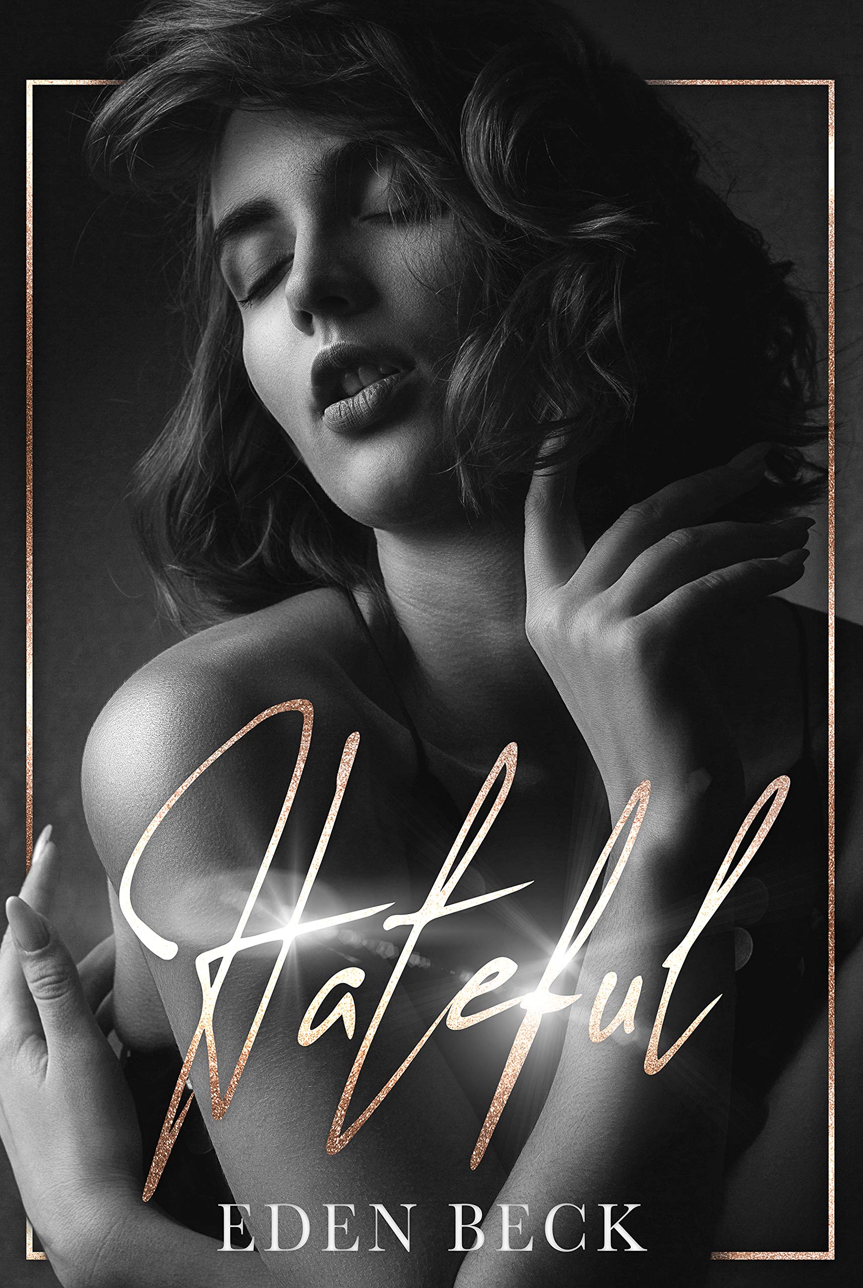 Wicked Brotherhood book cover 2