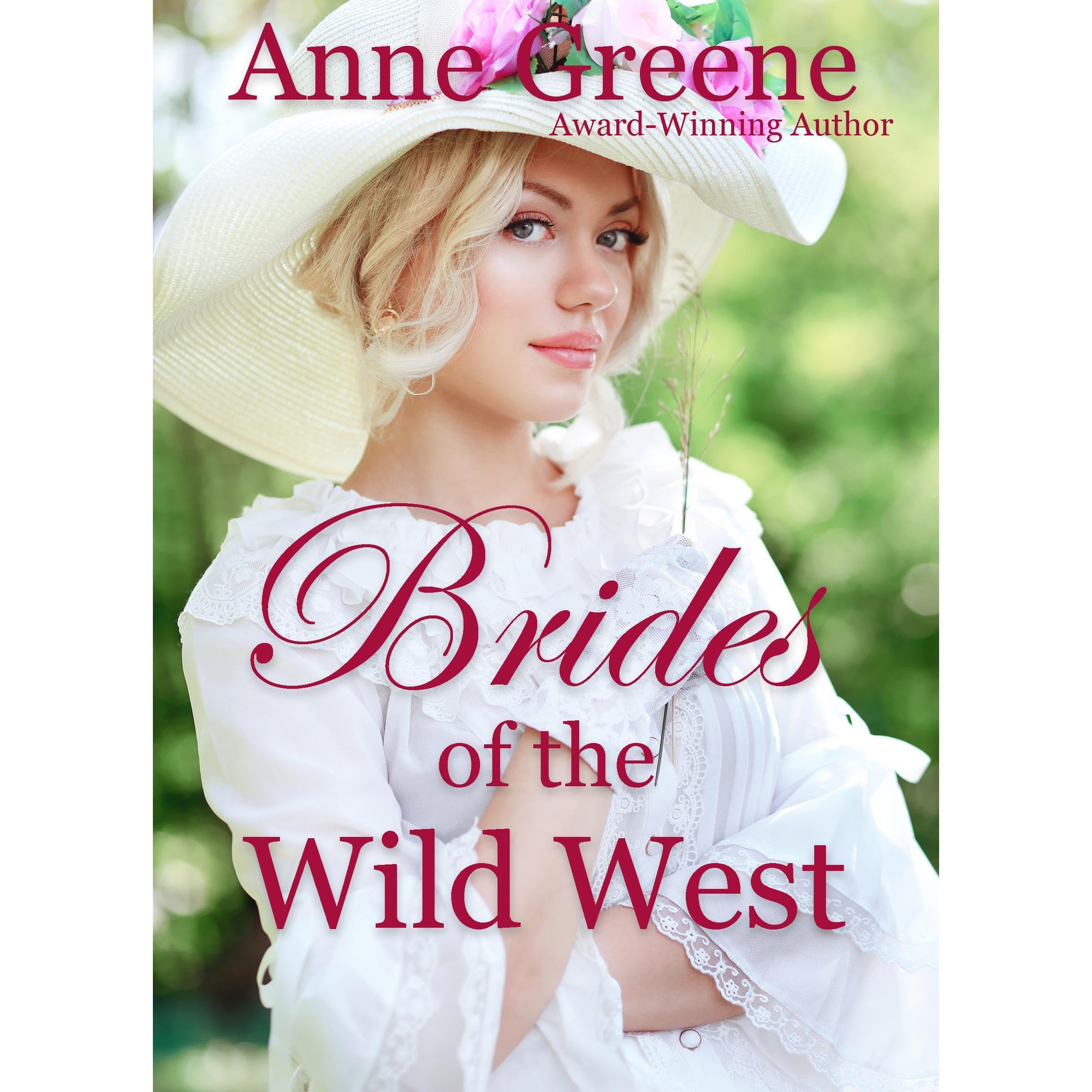 Brides of the Wild West book cover