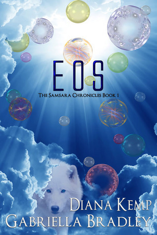 The Samsara Chronicles book cover 1
