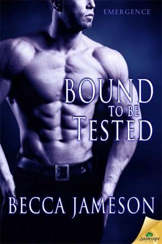 Emergence book cover 3