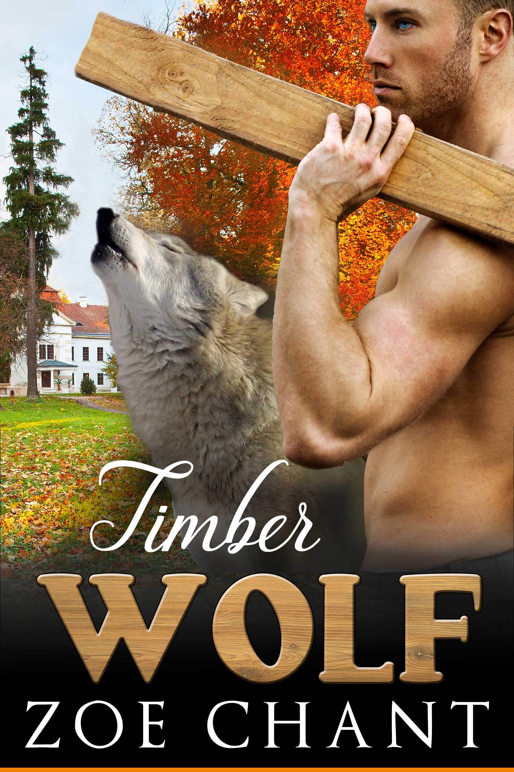 Virtue Shifters book cover 1