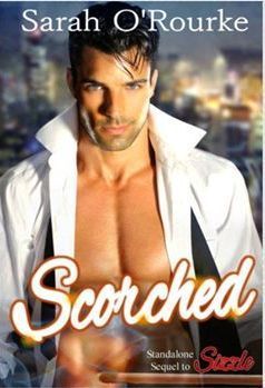 Sizzle book cover 1