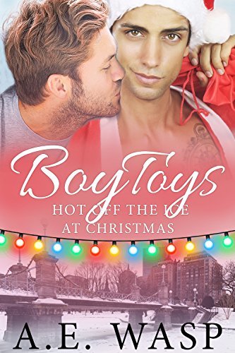 Boy Toys book cover