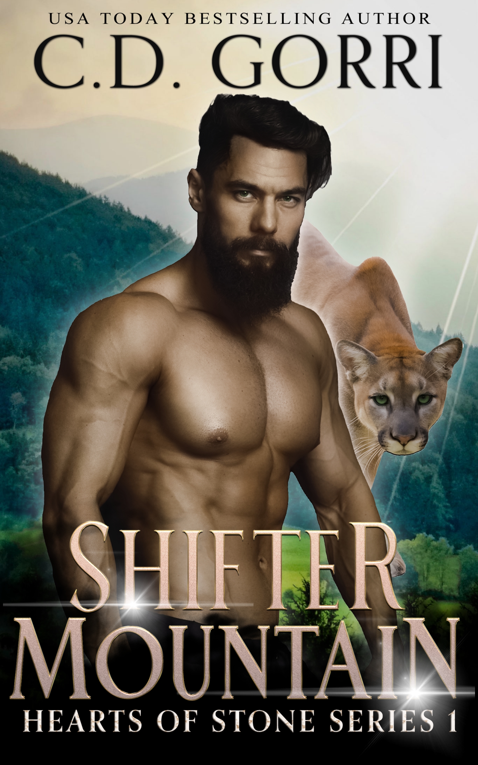 Hearts of Stone book cover 1