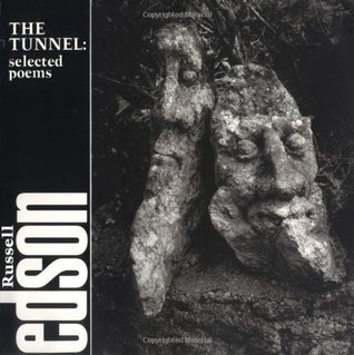 The Tunnel book cover