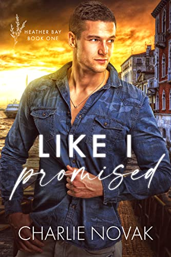 Like I Promised book cover