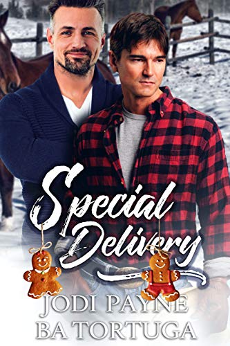 Wrecked book cover 2