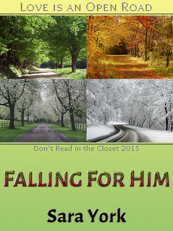 Falling For Him book cover