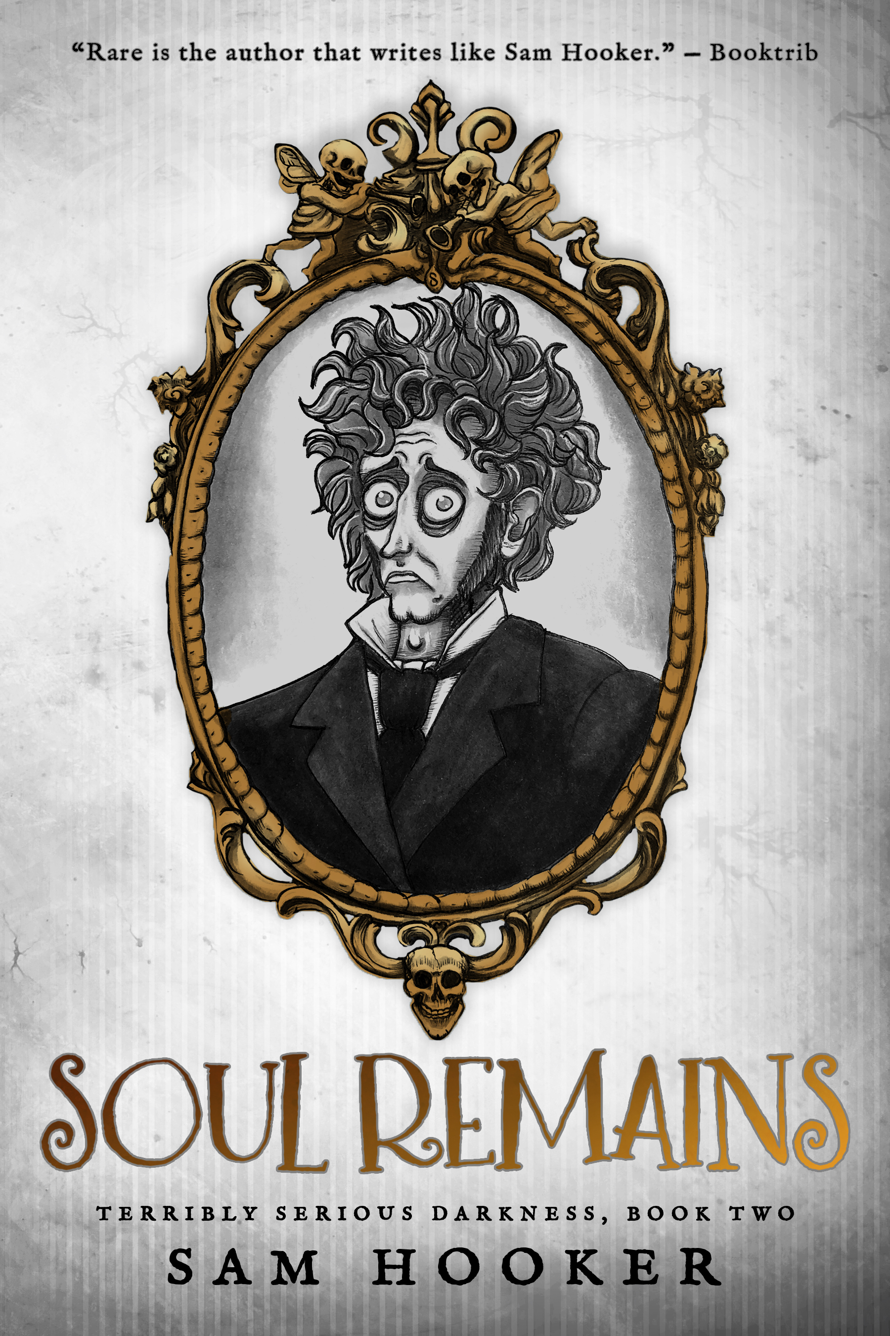 Terribly Serious Darkness book cover 2
