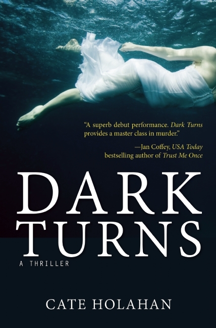 Dark Turns book cover