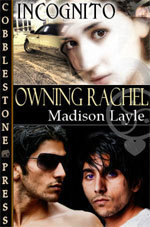 Incognito book cover 2