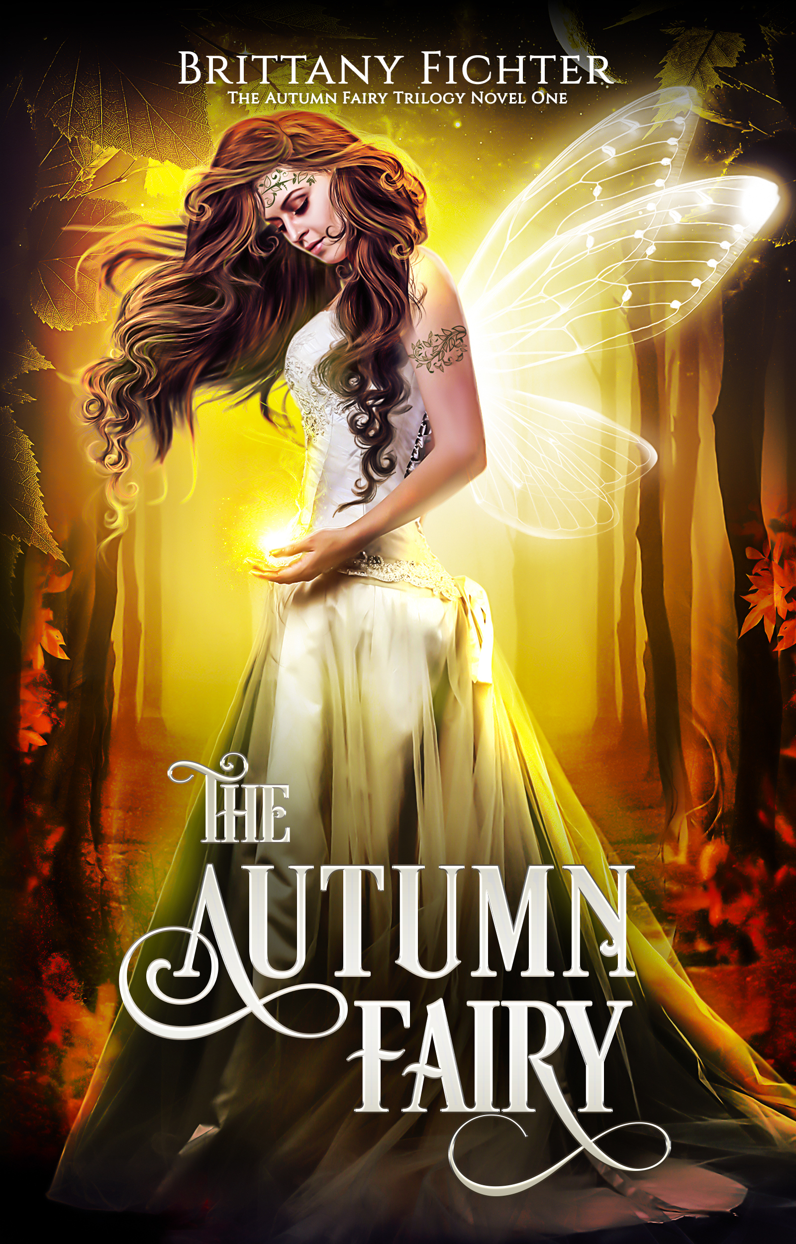 The Autumn Fairy book cover