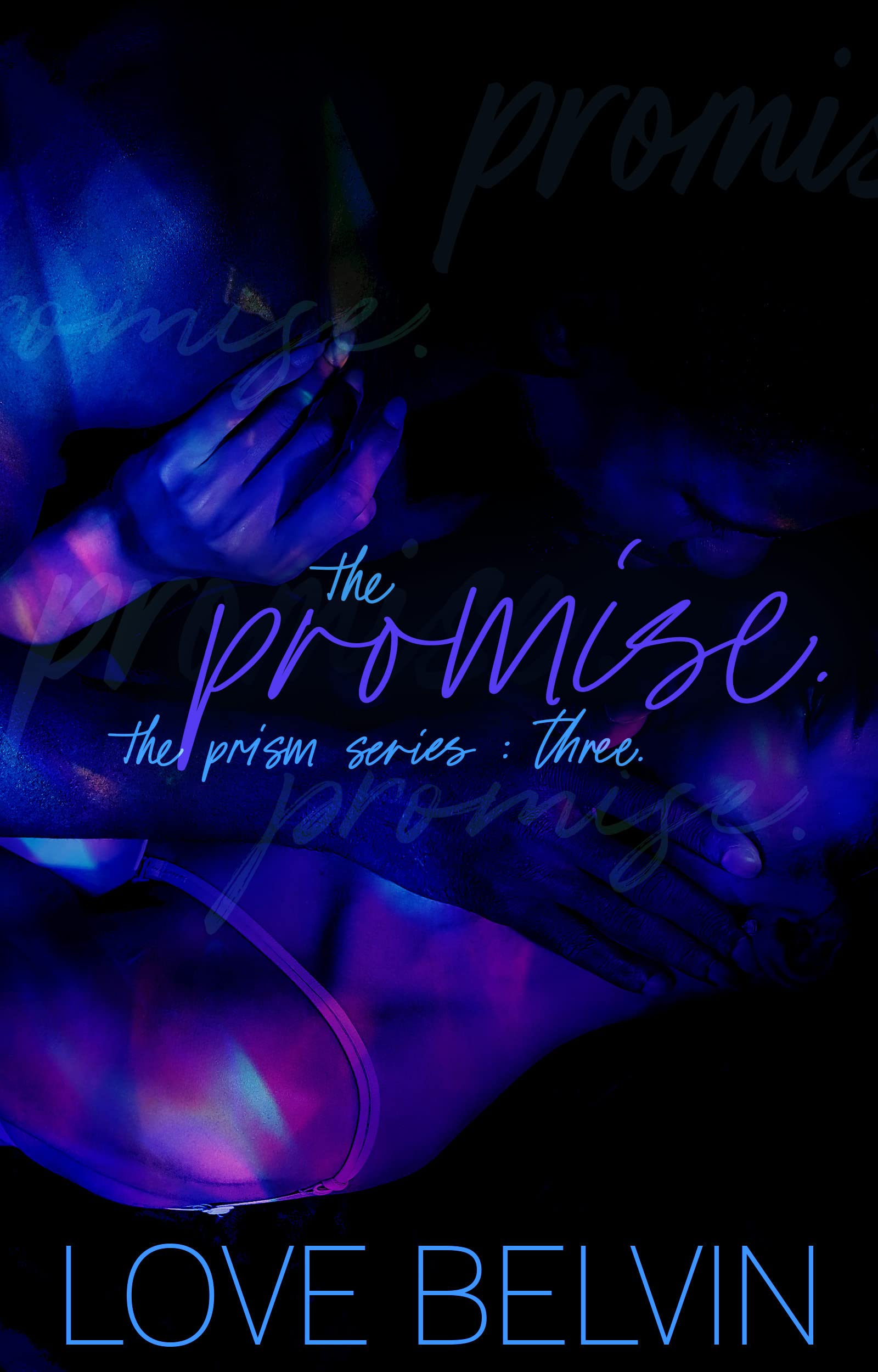 The Promise book cover