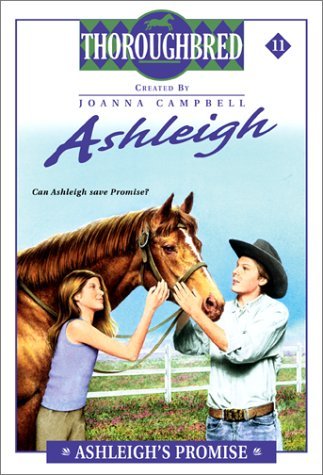Ashleigh's Promise book cover