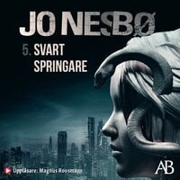 Svart springare book cover