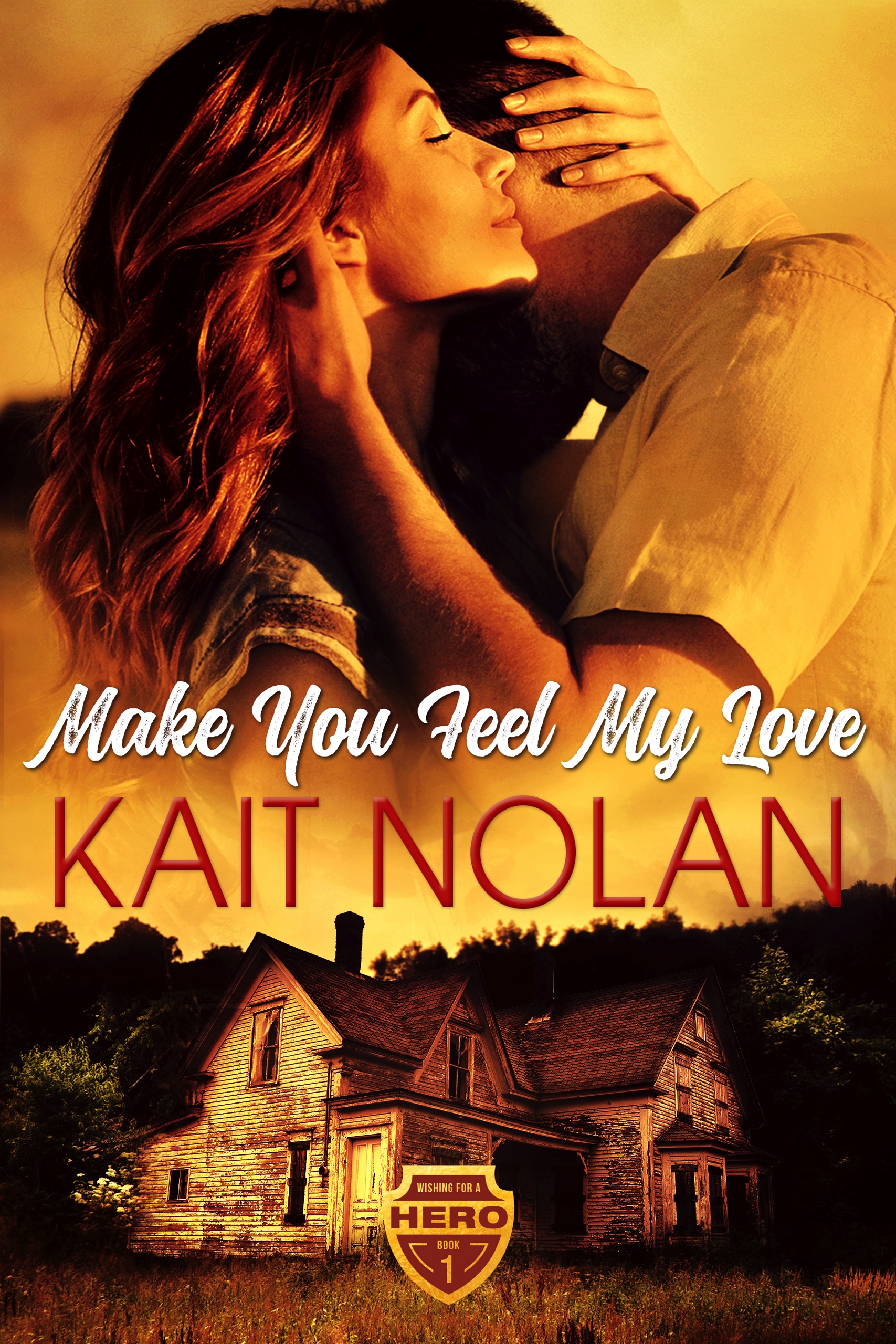 Wishing for a Hero book cover 1