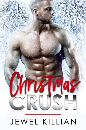 Holiday Studs book cover 3