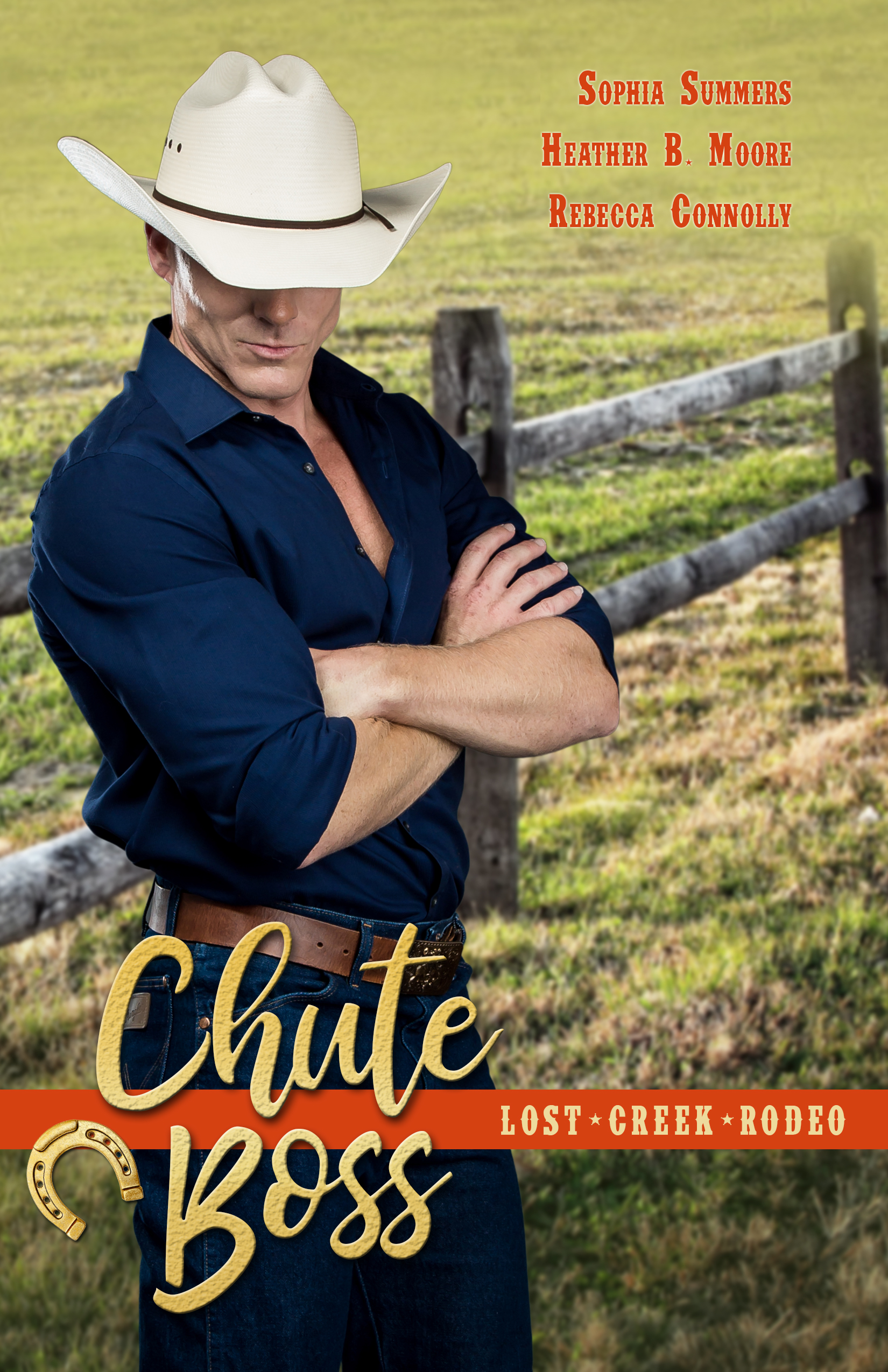 Lost Creek Rodeo book cover 2