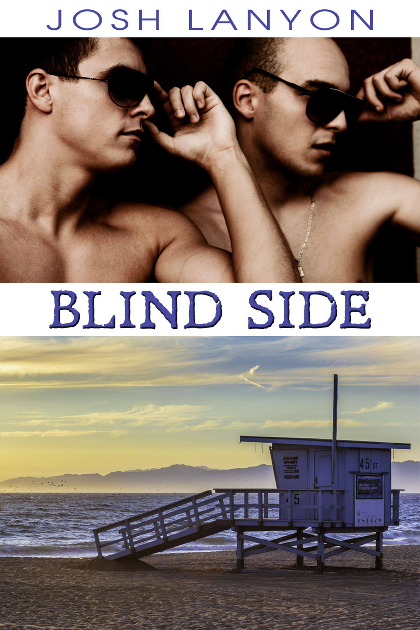 Blind Side book cover