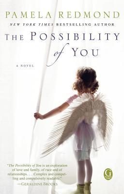 The Possibility of You book cover