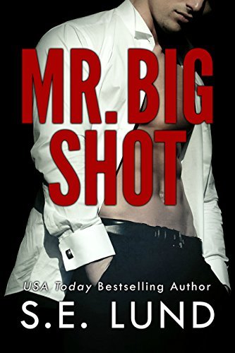 Mr. Big book cover 1