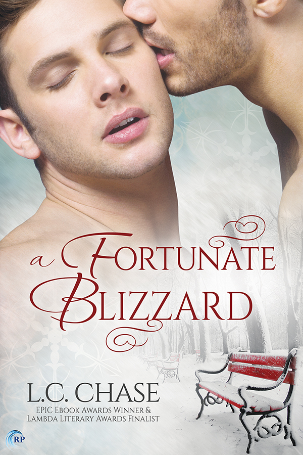 A Fortunate Blizzard book cover